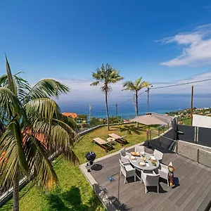 Papagaio By An Island Funchal (Madeira)